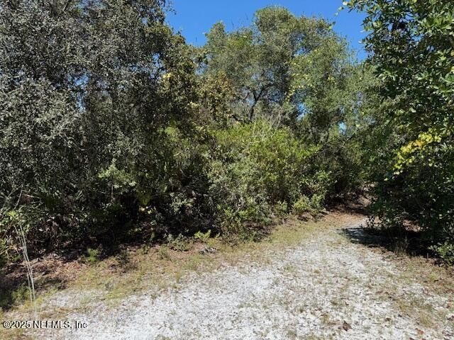 139 Lakeway Drive, Georgetown, FL 32139 Photo