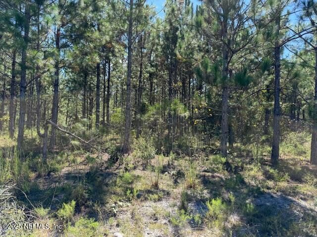 139 Lakeway Drive, Georgetown, FL 32139 Photo