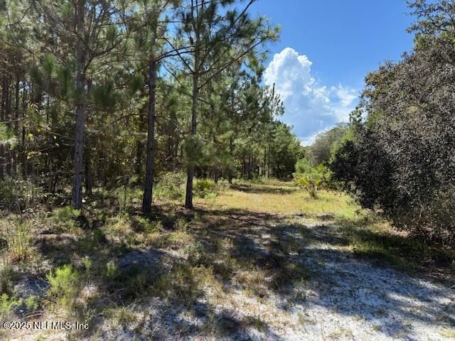 139 Lakeway Drive, Georgetown, FL 32139 Photo