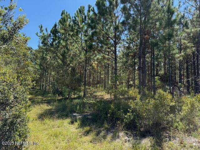 139 Lakeway Drive, Georgetown, FL 32139 Photo