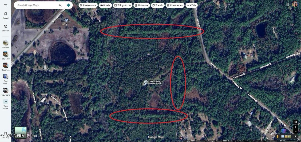 139 Lakeway Drive, Georgetown, FL 32139 Photo