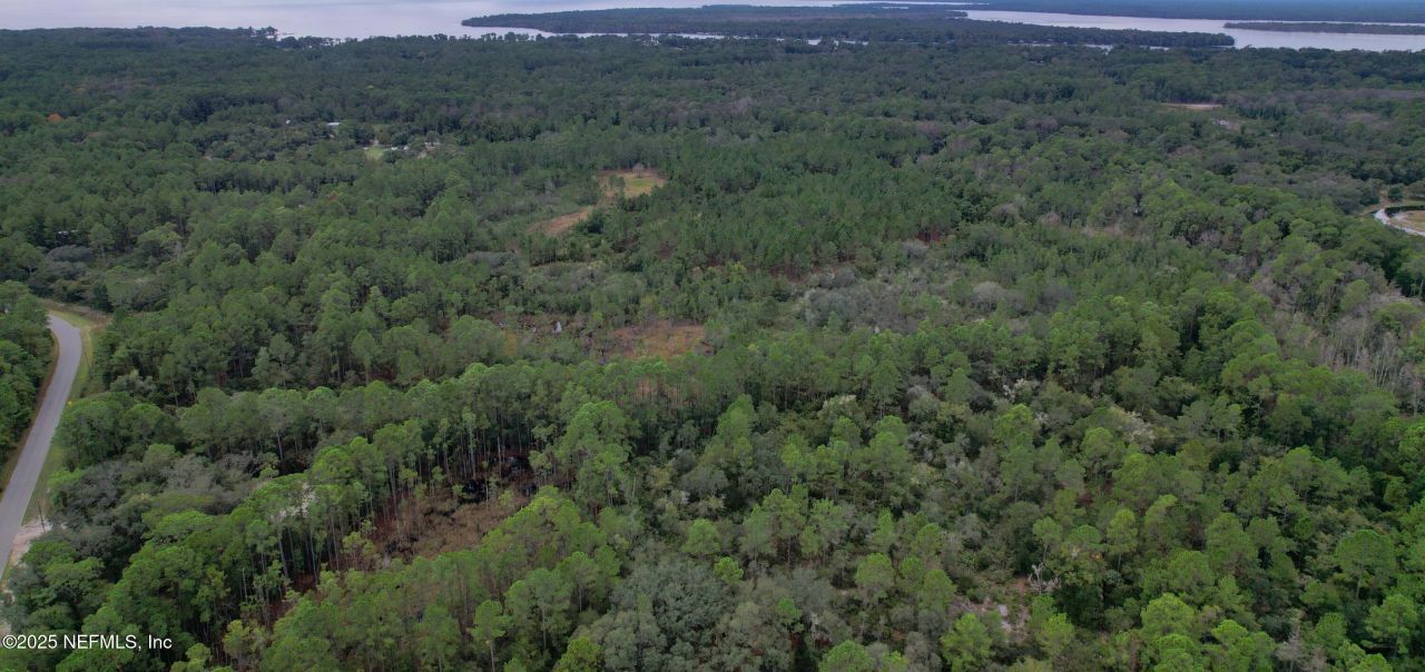 139 Lakeway Drive, Georgetown, FL 32139 Photo