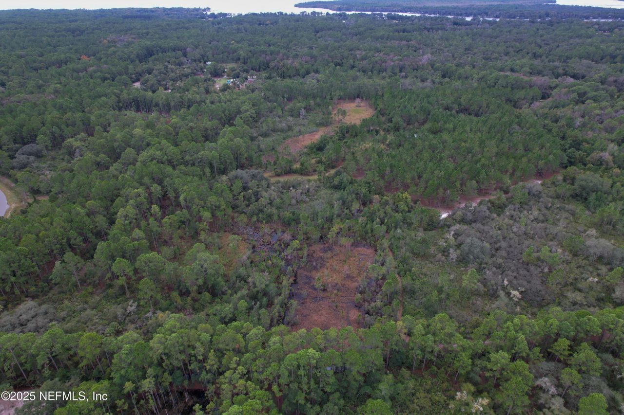 139 Lakeway Drive, Georgetown, FL 32139 Photo