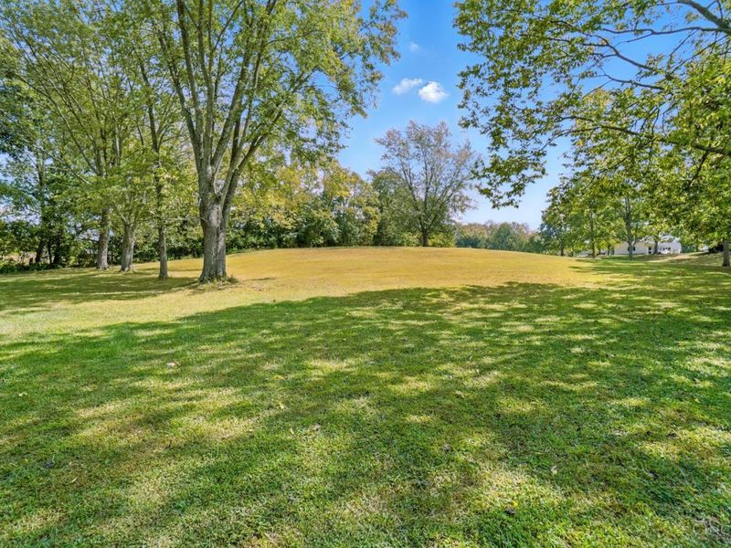 2688 Spring Street, Bethel, OH 45106 Photo 46