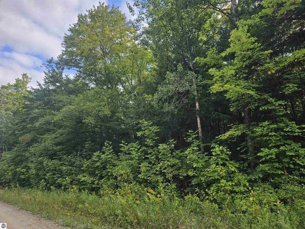 Riverview Road, Mesick, MI 49668