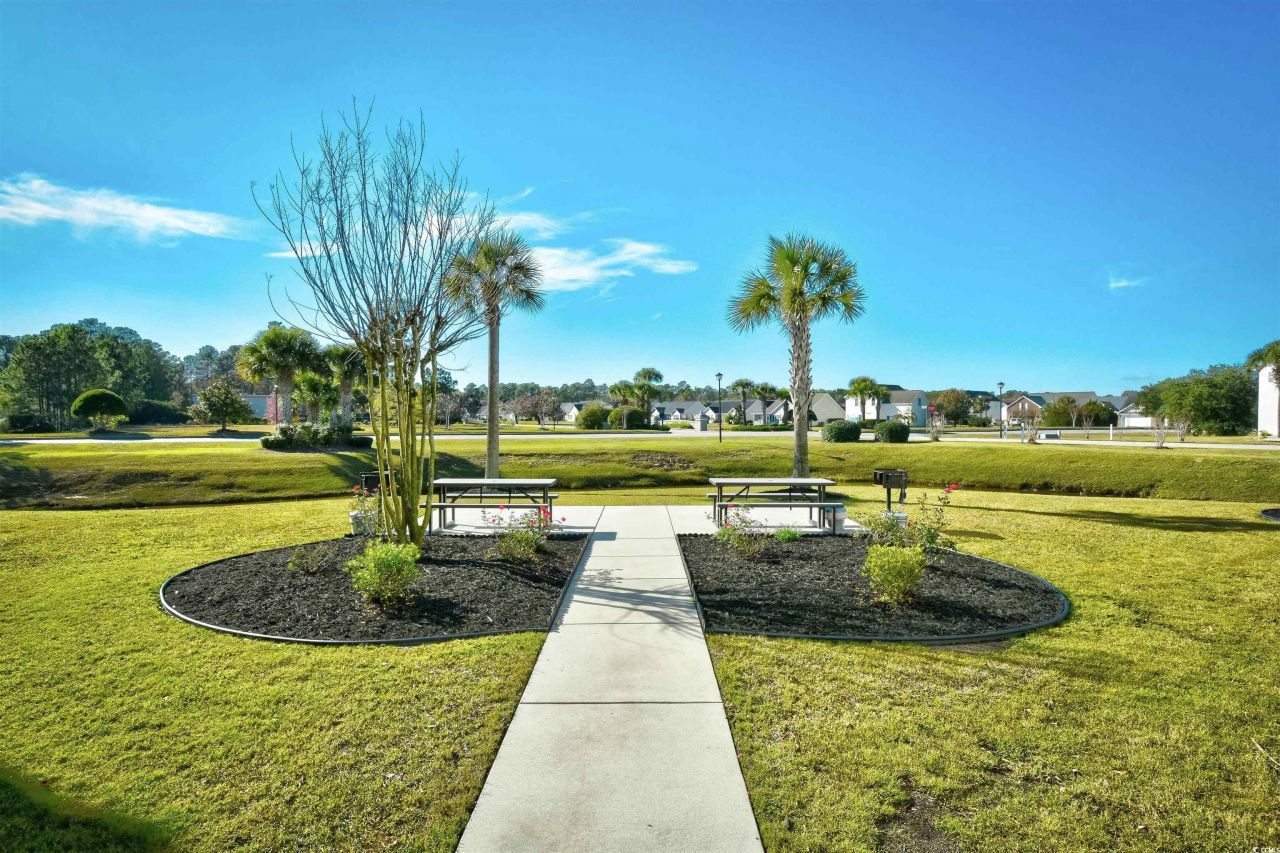 133 Ella Kinley Circle Photo 32