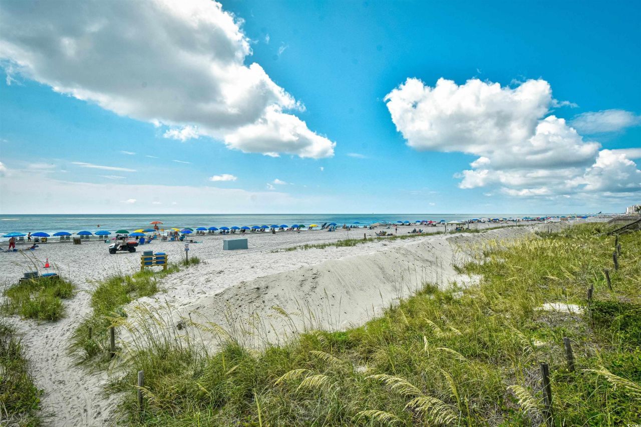 133 Ella Kinley Circle Photo 38