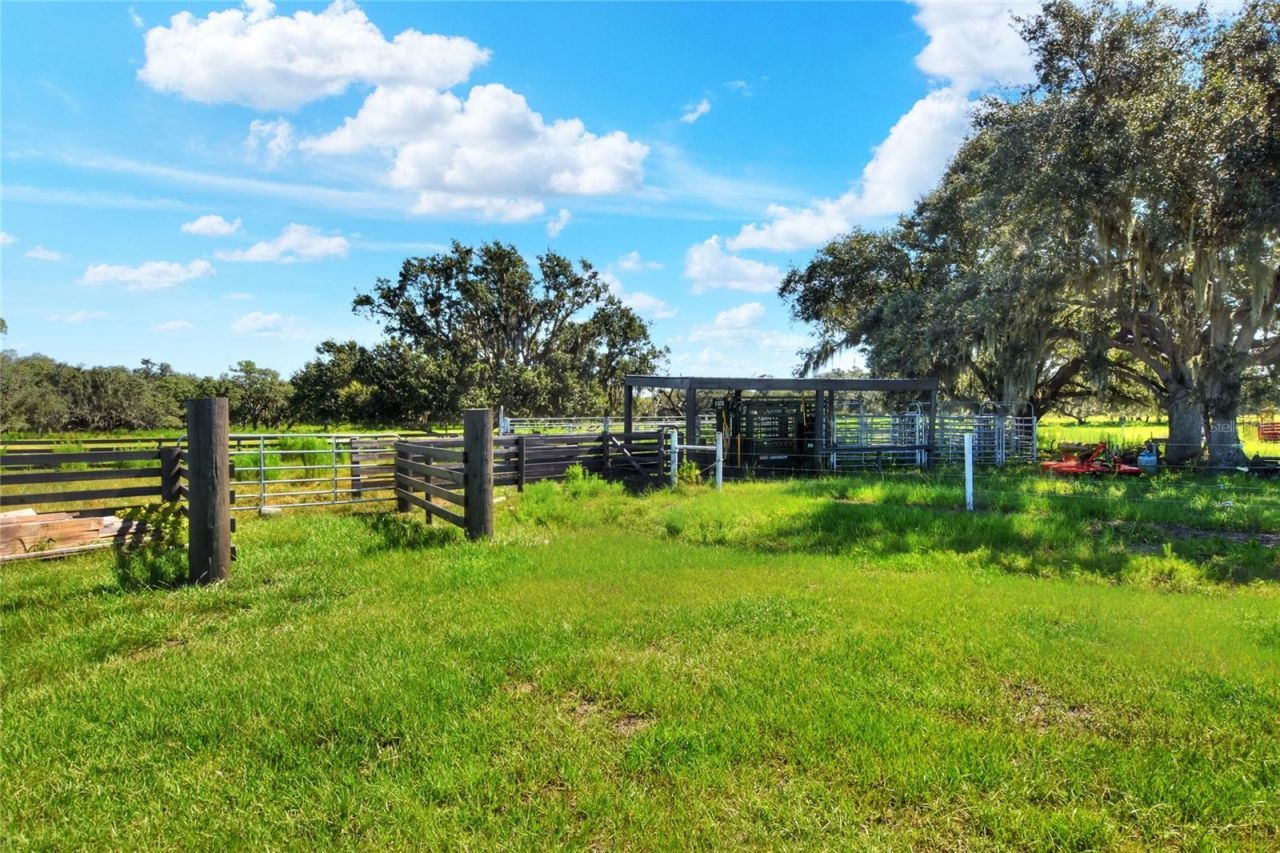 Nw Limestone Heights Street, Arcadia, FL 34266 Photo