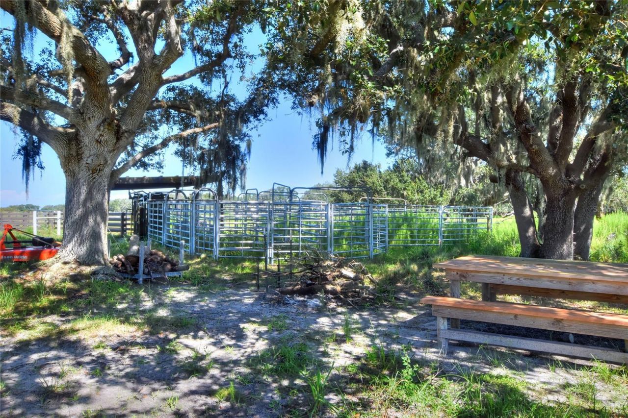 Nw Limestone Heights Street, Arcadia, FL 34266 Photo