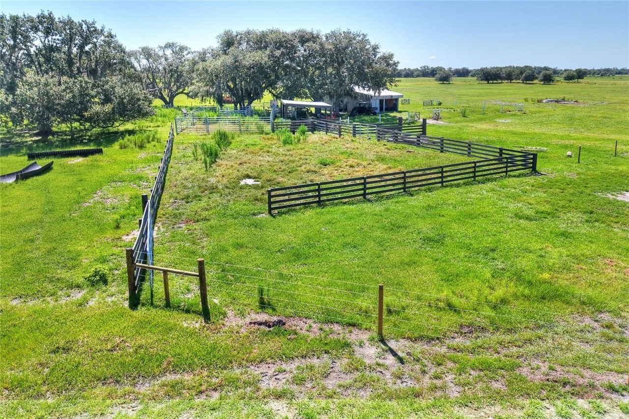 Nw Limestone Heights Street, Arcadia, FL 34266 Photo