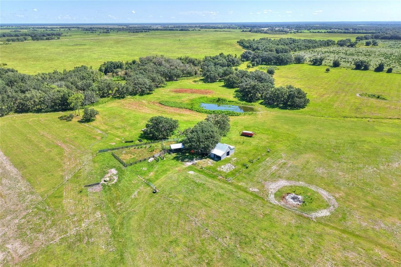 Nw Limestone Heights Street, Arcadia, FL 34266 Photo