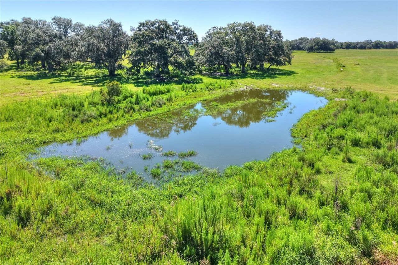 Nw Limestone Heights Street, Arcadia, FL 34266 Photo