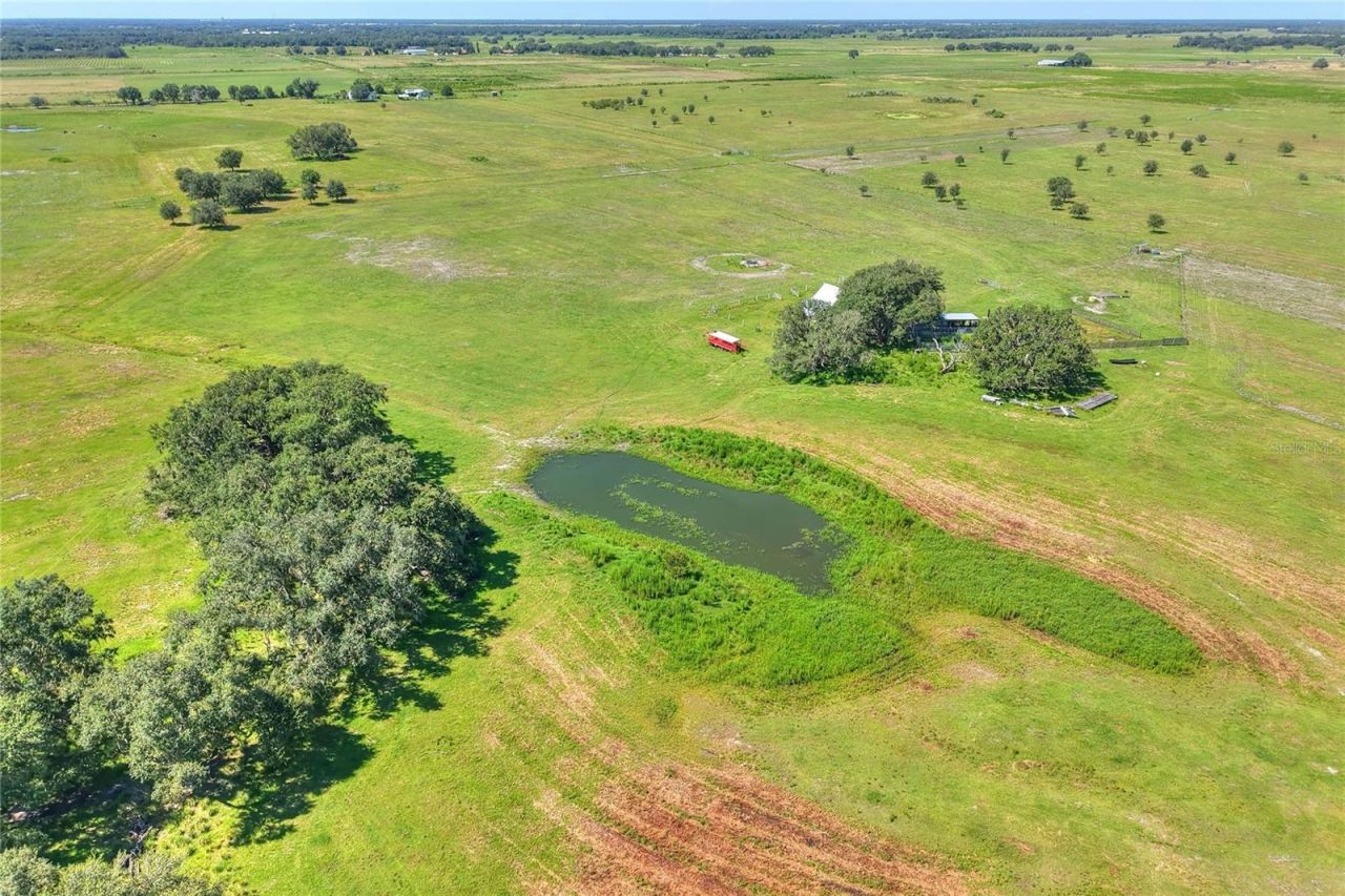 Nw Limestone Heights Street, Arcadia, FL 34266 Photo