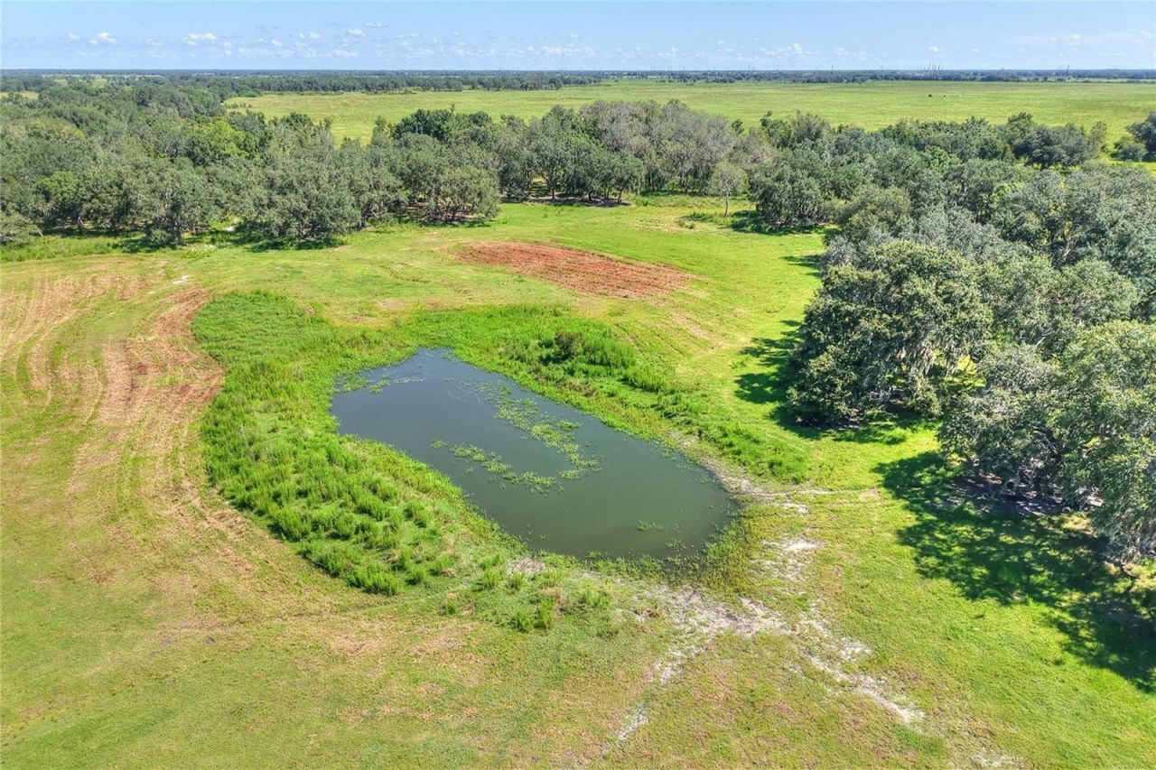 Nw Limestone Heights Street, Arcadia, FL 34266 Photo