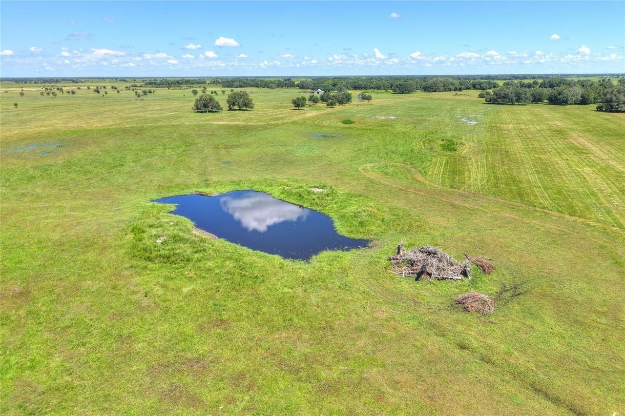 Nw Limestone Heights Street, Arcadia, FL 34266 Photo