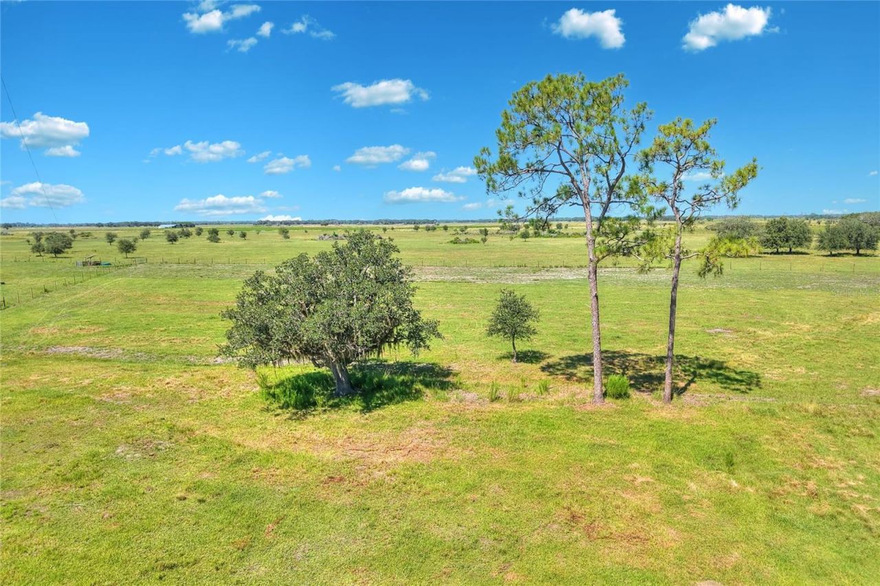 Nw Limestone Heights Street, Arcadia, FL 34266 Photo