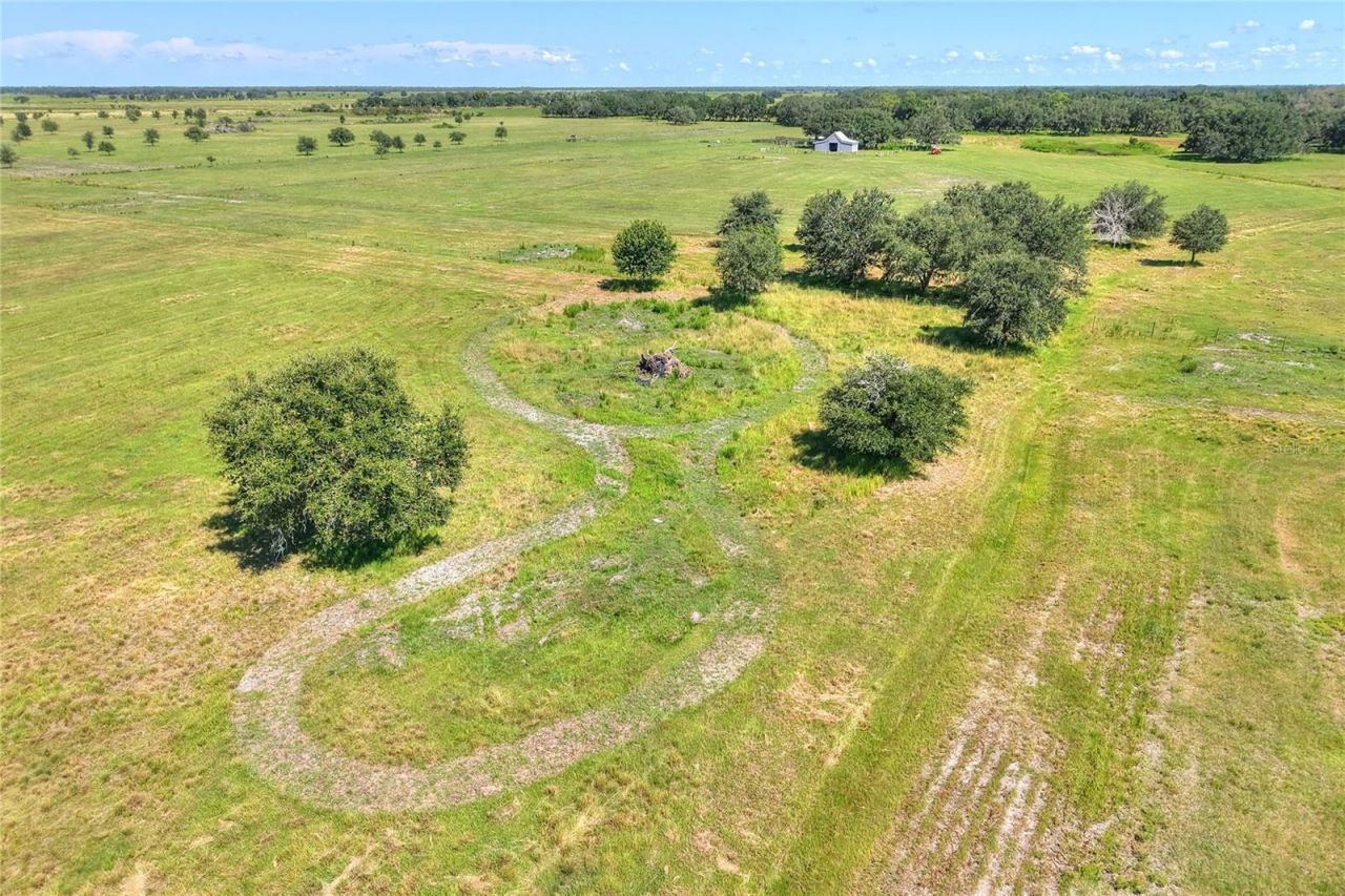 Nw Limestone Heights Street, Arcadia, FL 34266 Photo