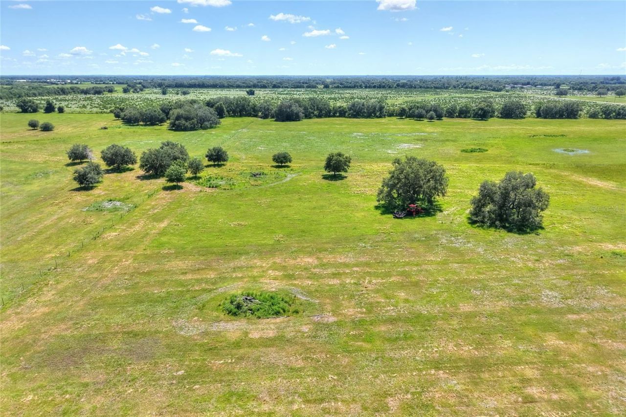 Nw Limestone Heights Street, Arcadia, FL 34266 Photo