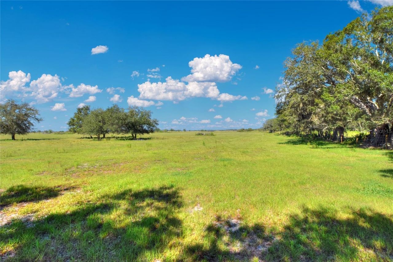 Nw Limestone Heights Street, Arcadia, FL 34266 Photo