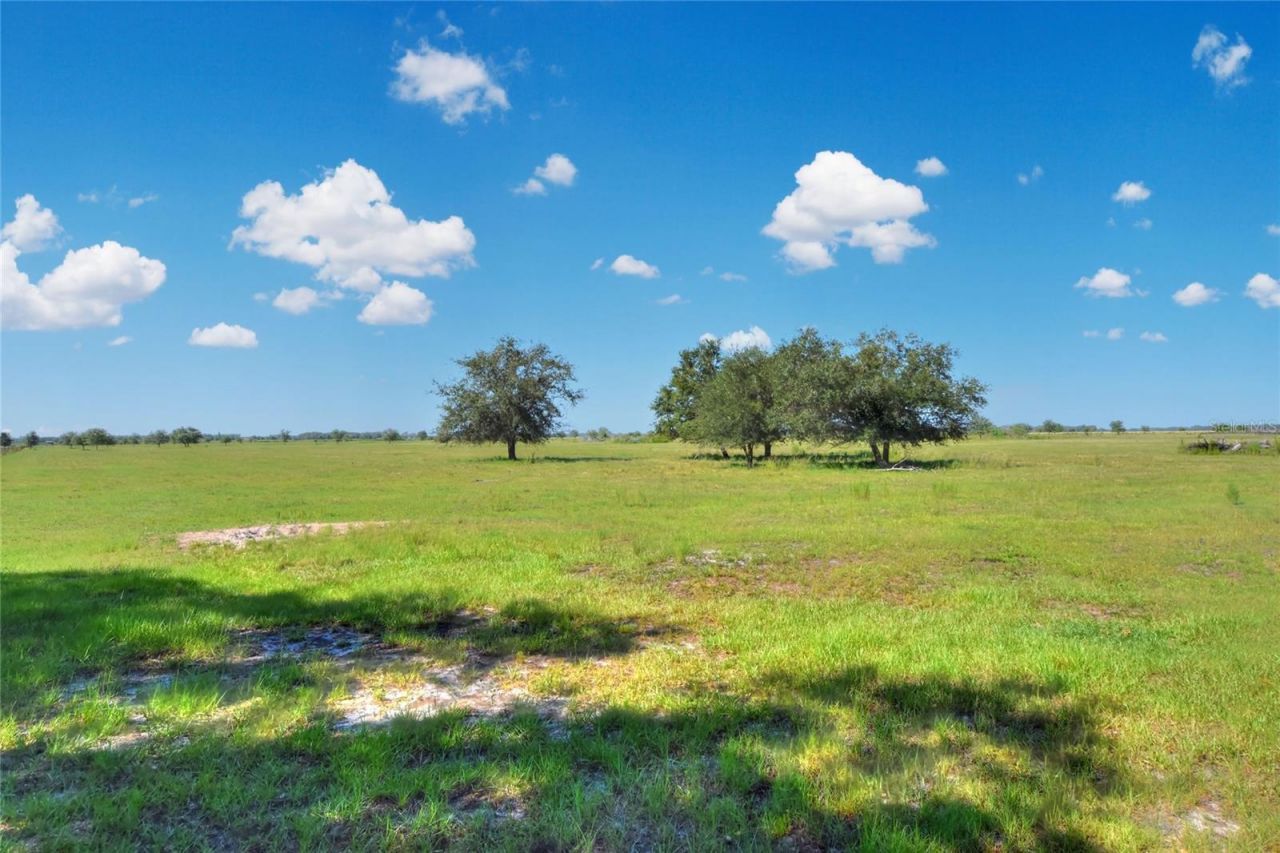 Nw Limestone Heights Street, Arcadia, FL 34266 Photo