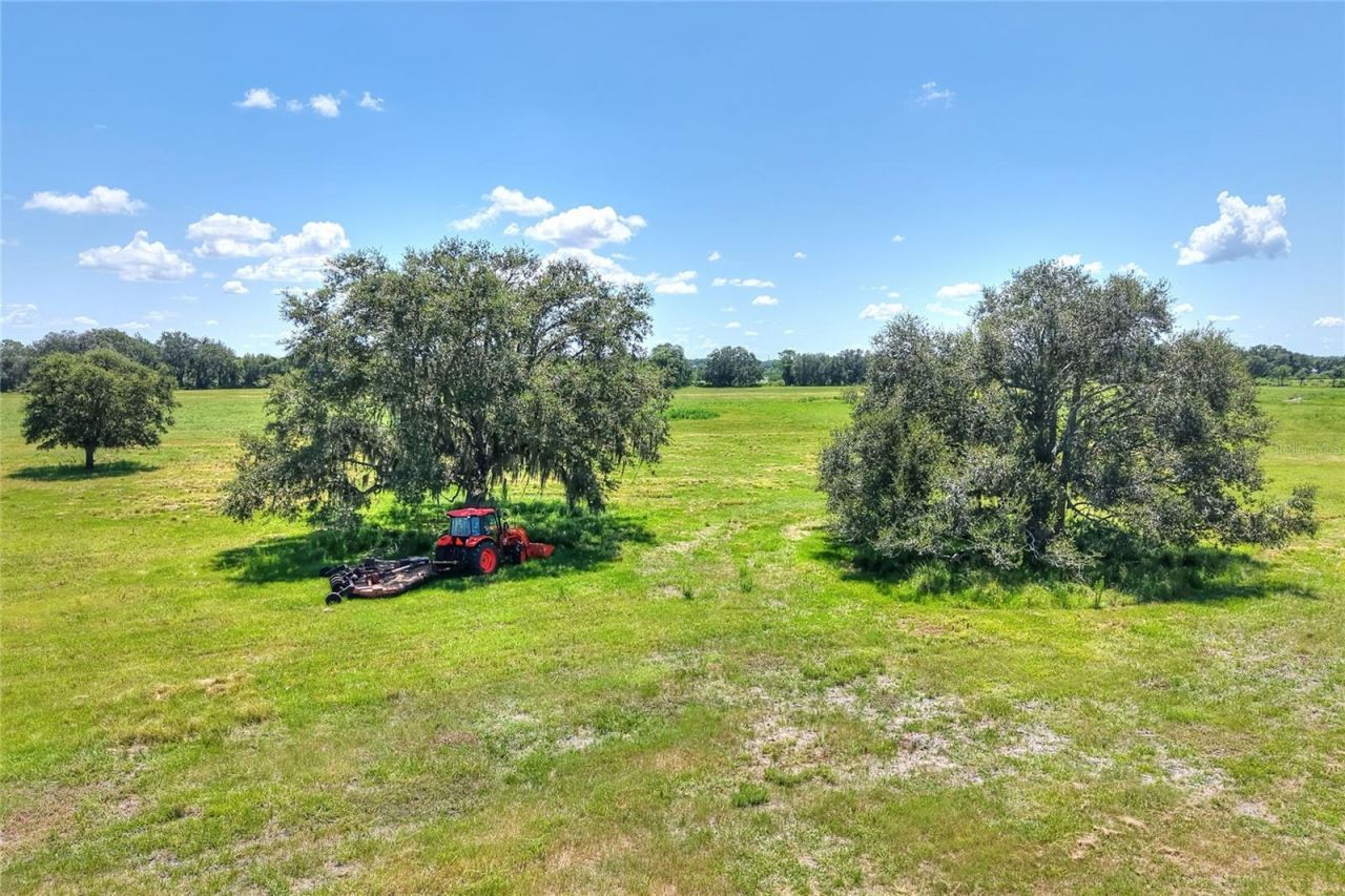 Nw Limestone Heights Street, Arcadia, FL 34266 Photo