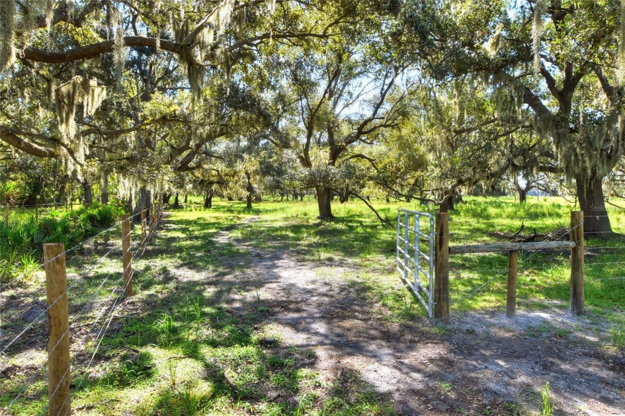 Nw Limestone Heights Street, Arcadia, FL 34266 Photo