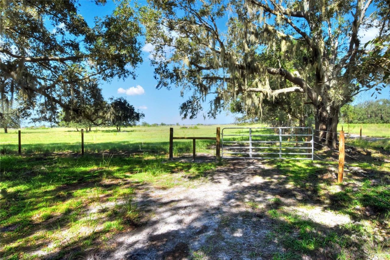 Nw Limestone Heights Street, Arcadia, FL 34266 Photo