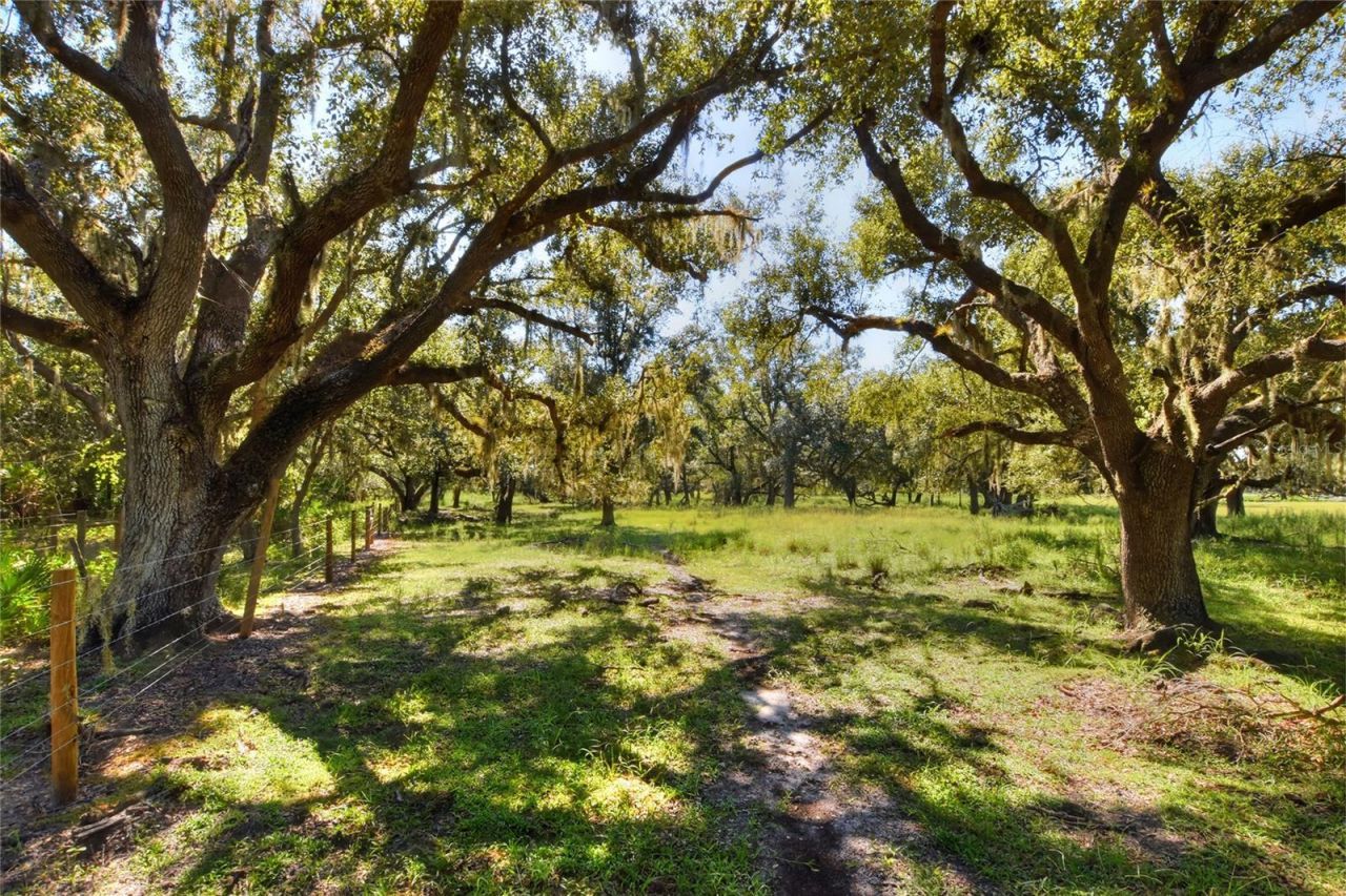 Nw Limestone Heights Street, Arcadia, FL 34266 Photo