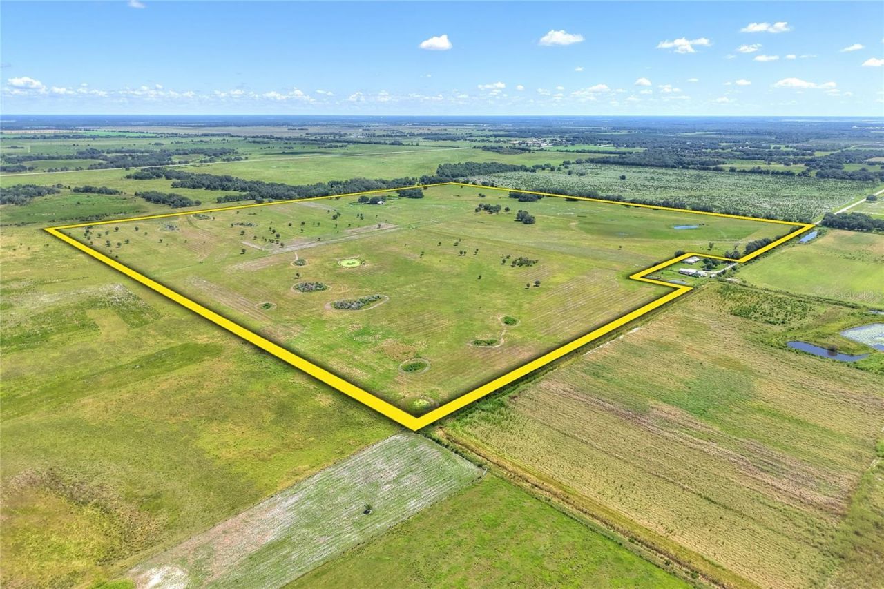 Nw Limestone Heights Street, Arcadia, FL 34266 Photo