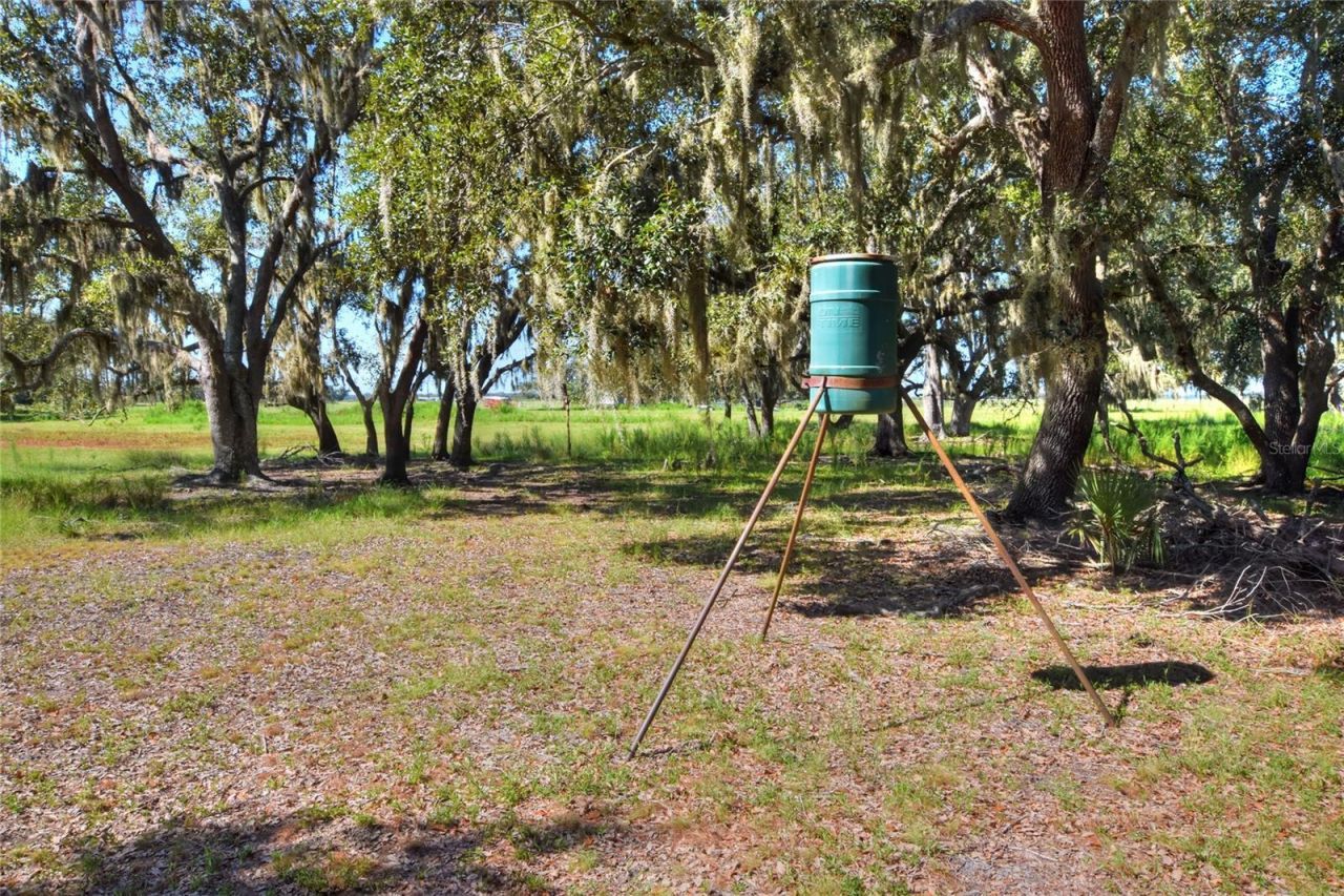 Nw Limestone Heights Street, Arcadia, FL 34266 Photo