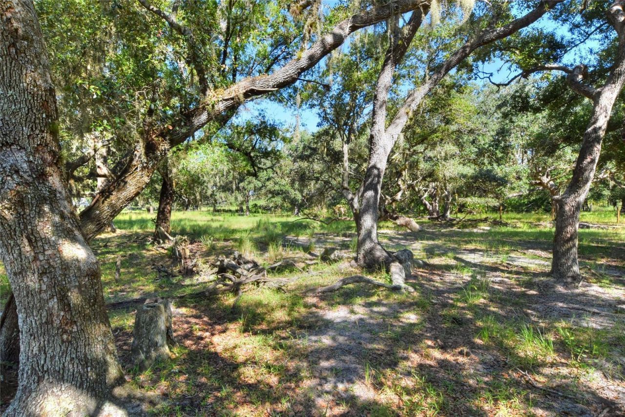 Nw Limestone Heights Street, Arcadia, FL 34266 Photo