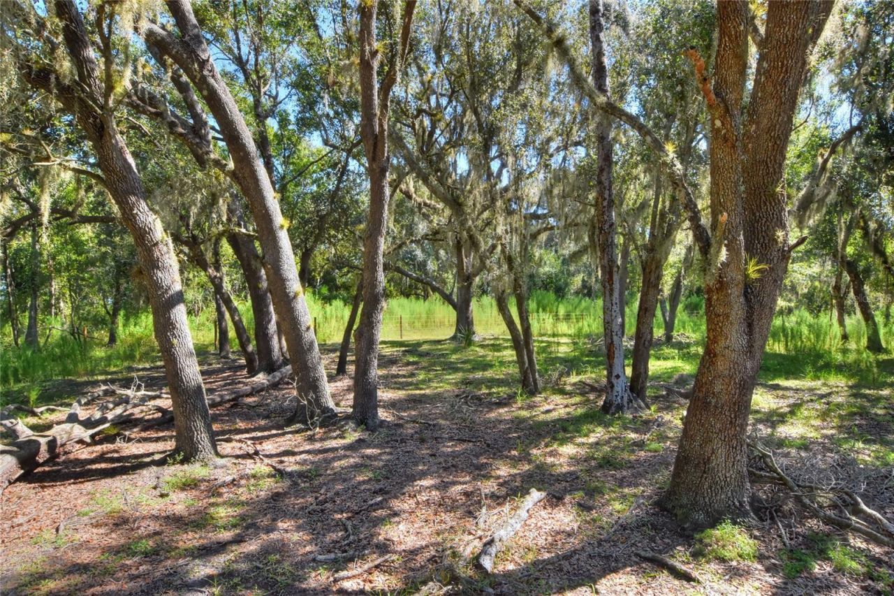 Nw Limestone Heights Street, Arcadia, FL 34266 Photo