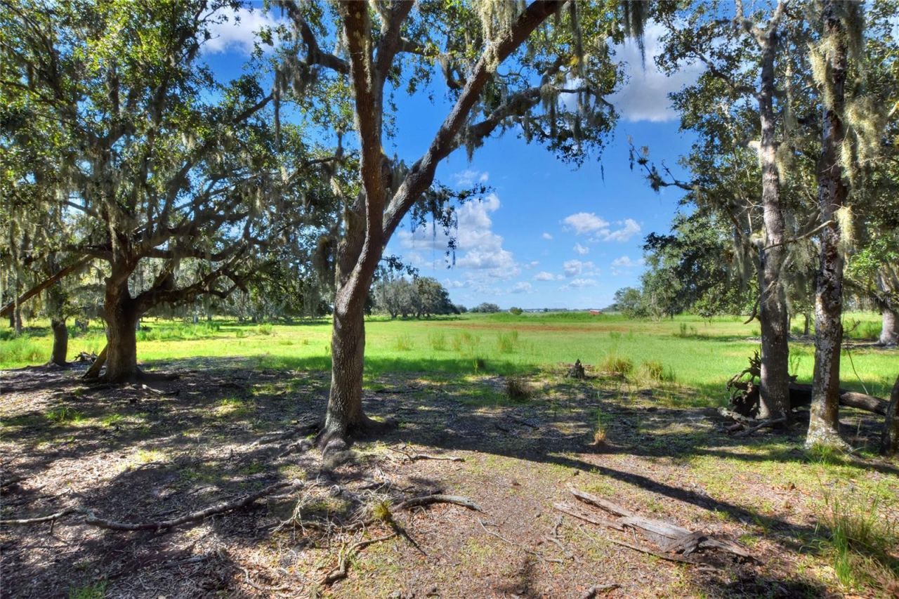 Nw Limestone Heights Street, Arcadia, FL 34266 Photo