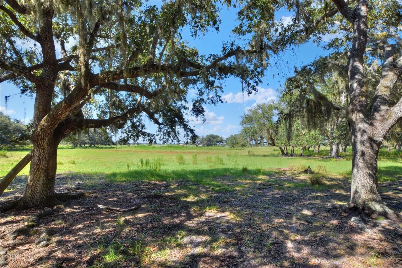 Nw Limestone Heights Street, Arcadia, FL 34266 Photo