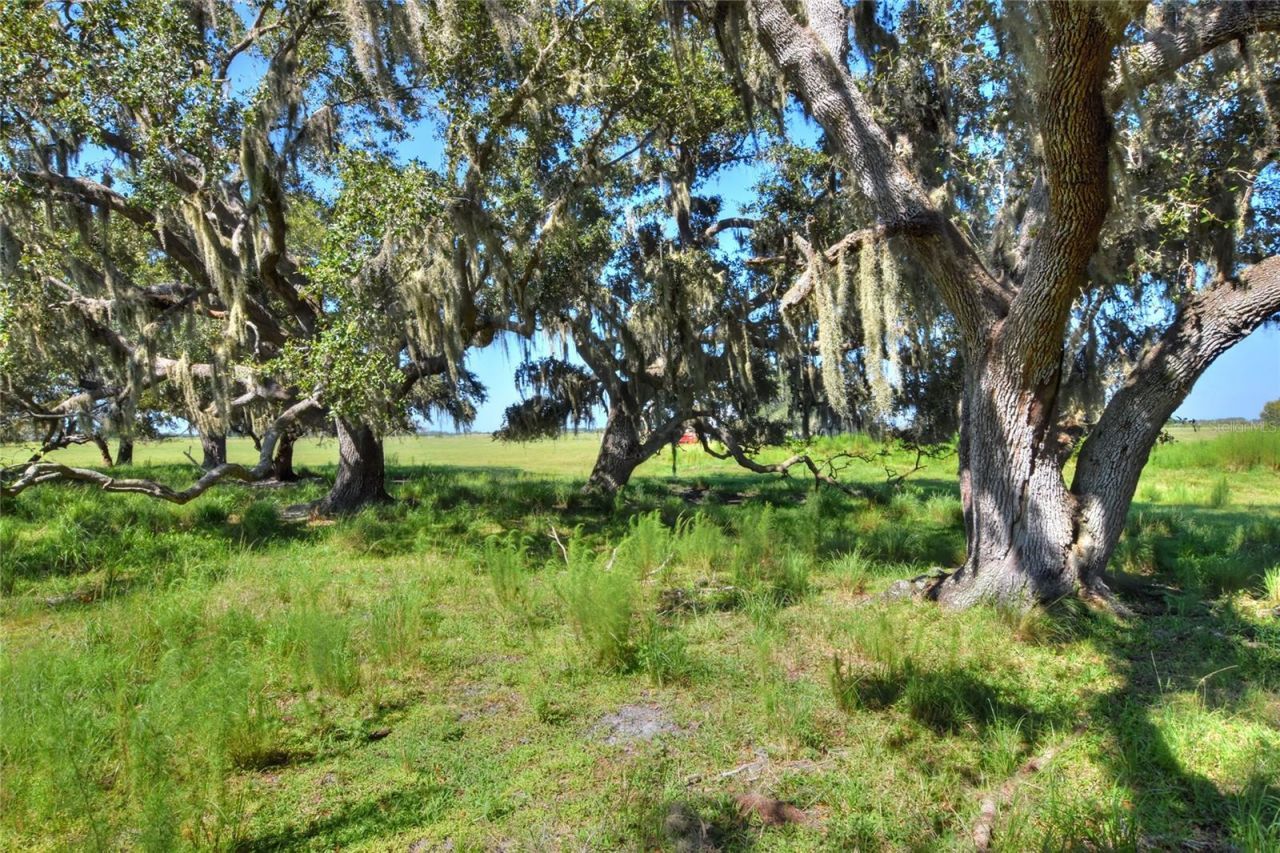 Nw Limestone Heights Street, Arcadia, FL 34266 Photo