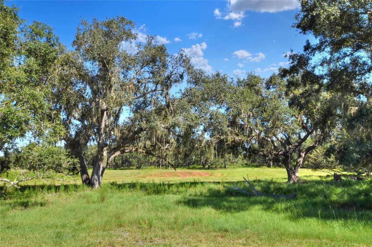 Nw Limestone Heights Street, Arcadia, FL 34266 Photo