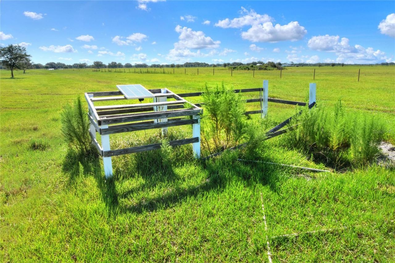 Nw Limestone Heights Street, Arcadia, FL 34266 Photo