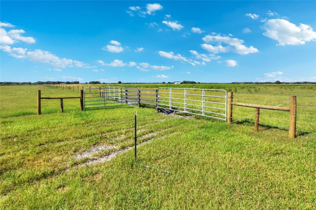 Nw Limestone Heights Street, Arcadia, FL 34266 Photo