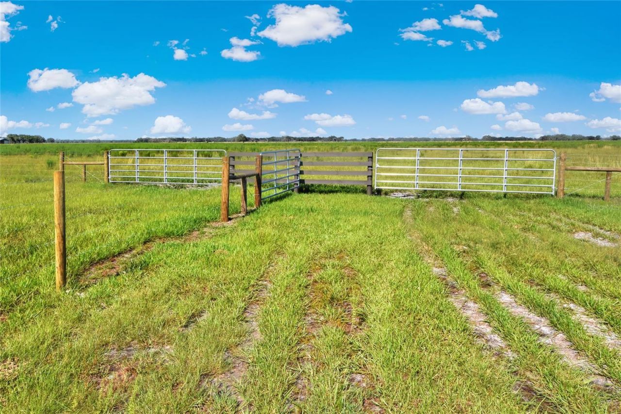 Nw Limestone Heights Street, Arcadia, FL 34266 Photo