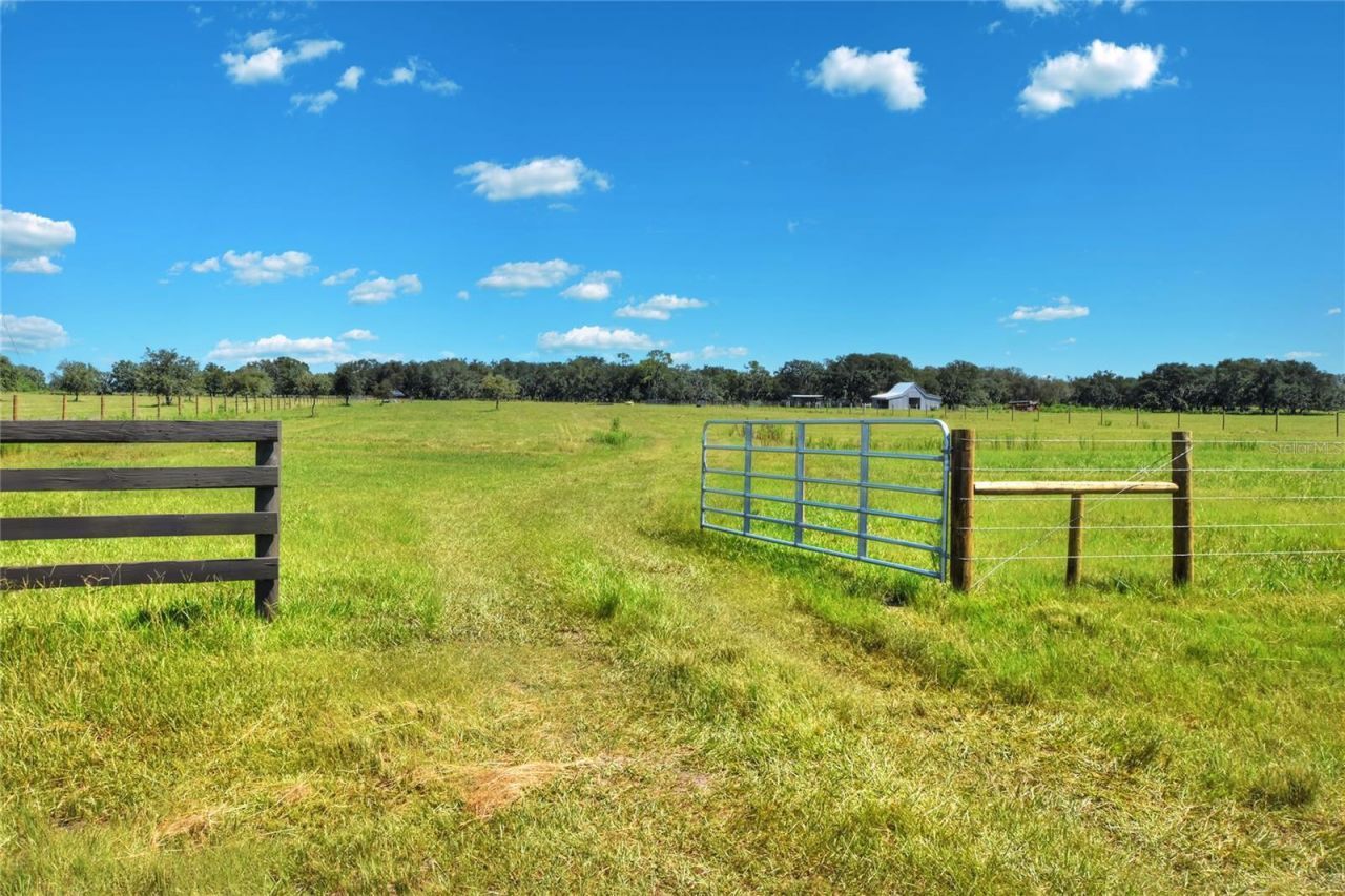 Nw Limestone Heights Street, Arcadia, FL 34266 Photo