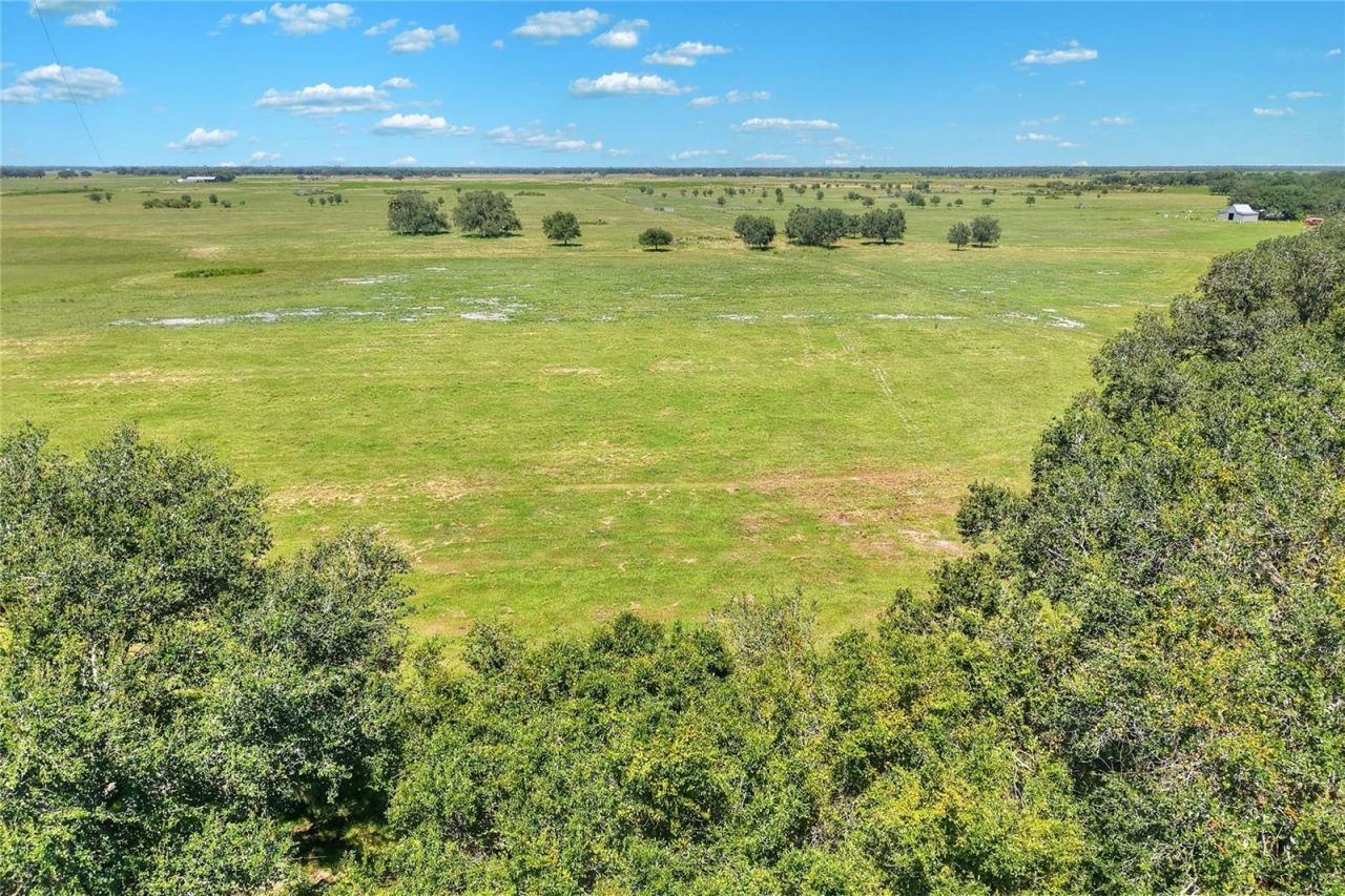 Nw Limestone Heights Street, Arcadia, FL 34266 Photo