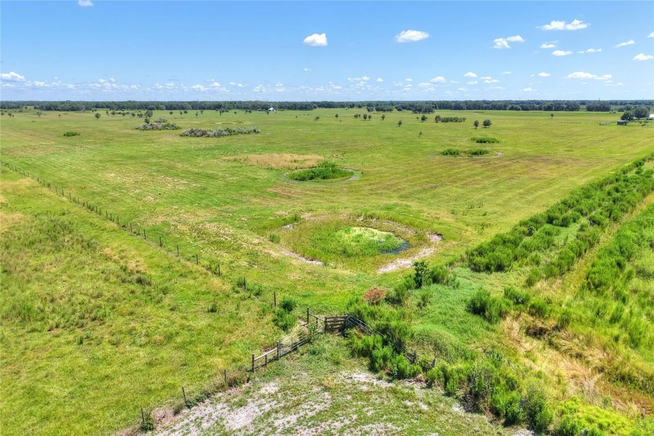 Nw Limestone Heights Street, Arcadia, FL 34266 Photo