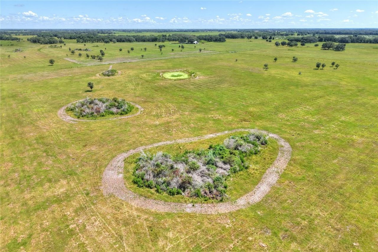 Nw Limestone Heights Street, Arcadia, FL 34266 Photo