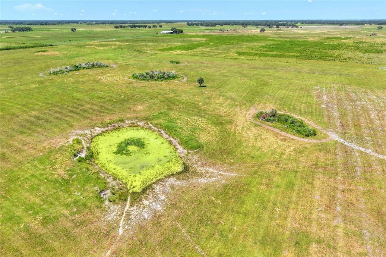 Nw Limestone Heights Street, Arcadia, FL 34266 Photo