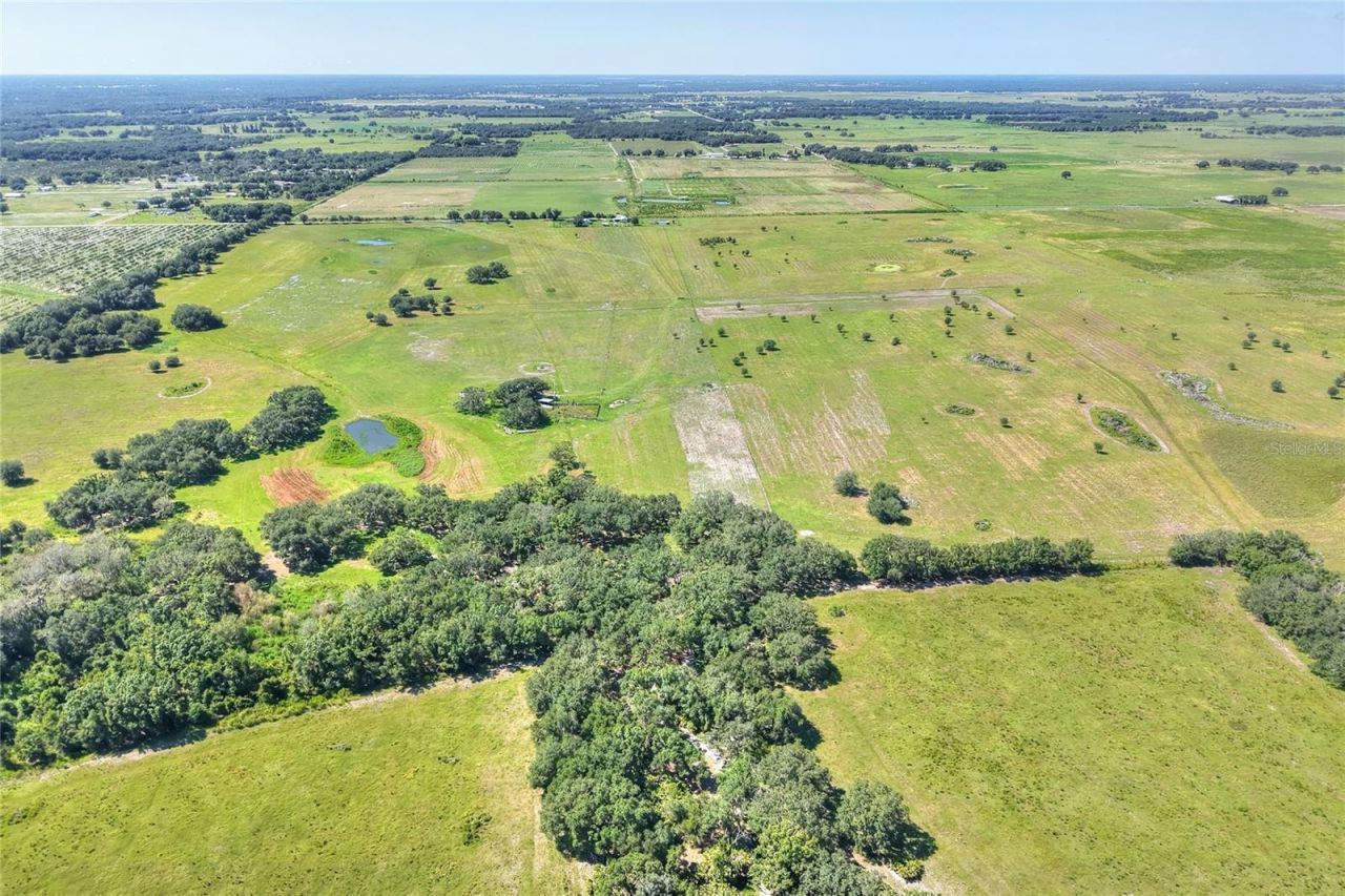 Nw Limestone Heights Street, Arcadia, FL 34266 Photo