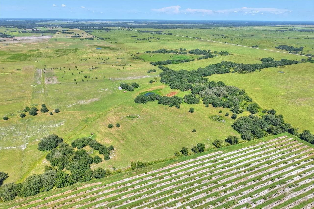 Nw Limestone Heights Street, Arcadia, FL 34266 Photo