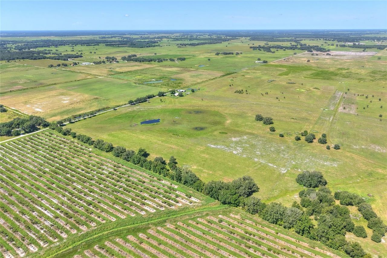 Nw Limestone Heights Street, Arcadia, FL 34266 Photo