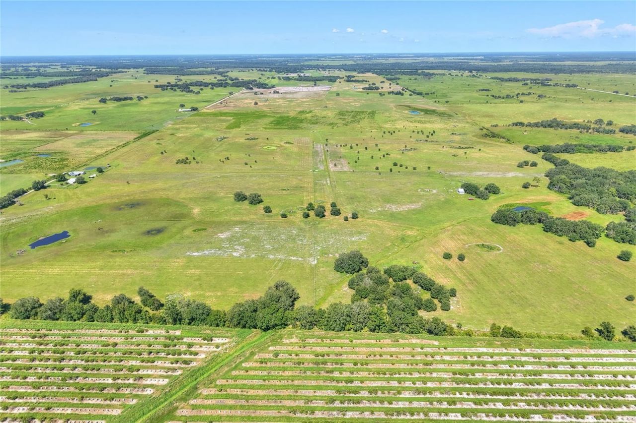 Nw Limestone Heights Street, Arcadia, FL 34266 Photo