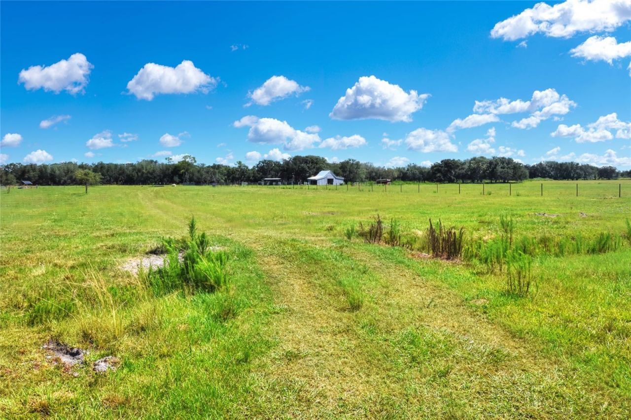 Nw Limestone Heights Street, Arcadia, FL 34266 Photo