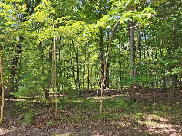 10933 Shawnee Trail, Unit 192, Stanwood, MI 49346